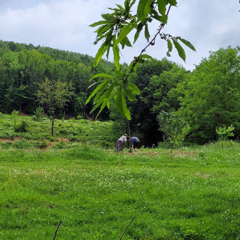 Madre Natura — nature and daily life, Istanbul 2023